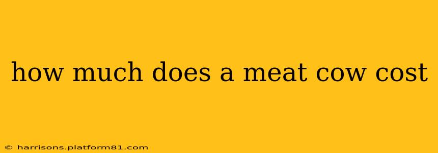 how much does a meat cow cost