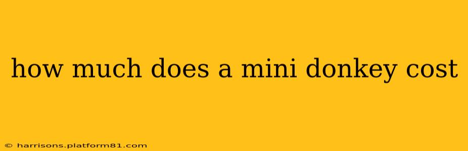 how much does a mini donkey cost
