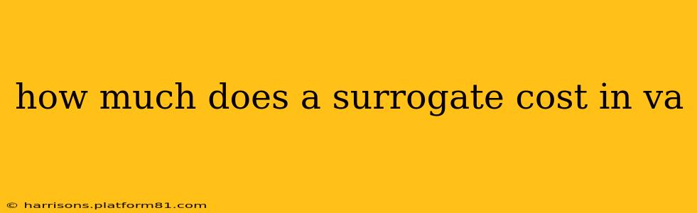 how much does a surrogate cost in va