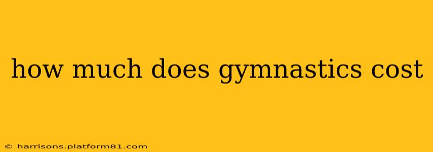 how much does gymnastics cost