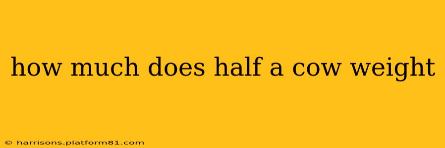 how much does half a cow weight