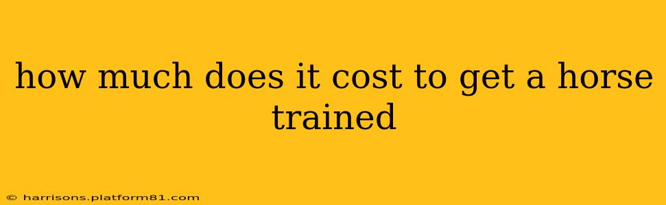 how much does it cost to get a horse trained