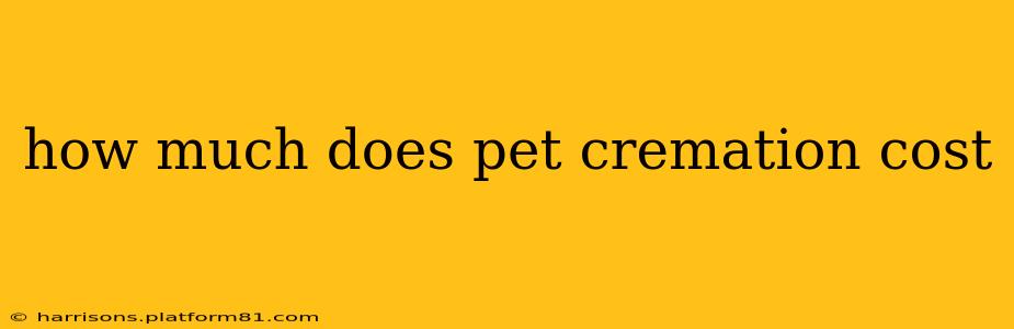 how much does pet cremation cost