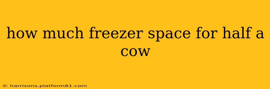how much freezer space for half a cow
