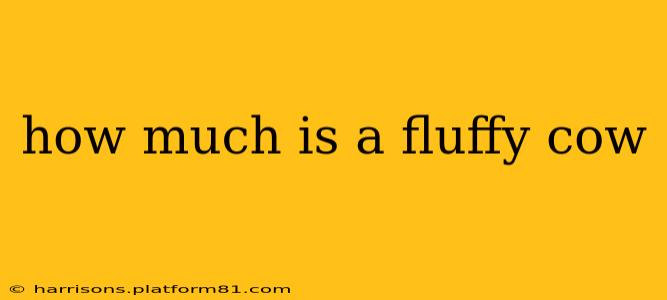 how much is a fluffy cow