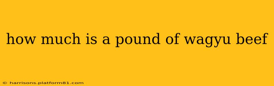 how much is a pound of wagyu beef