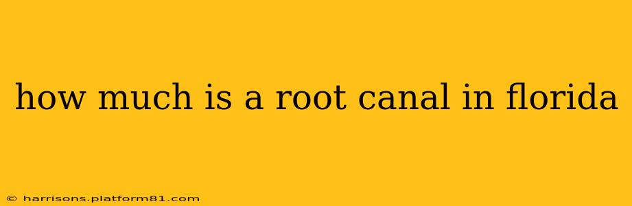 how much is a root canal in florida