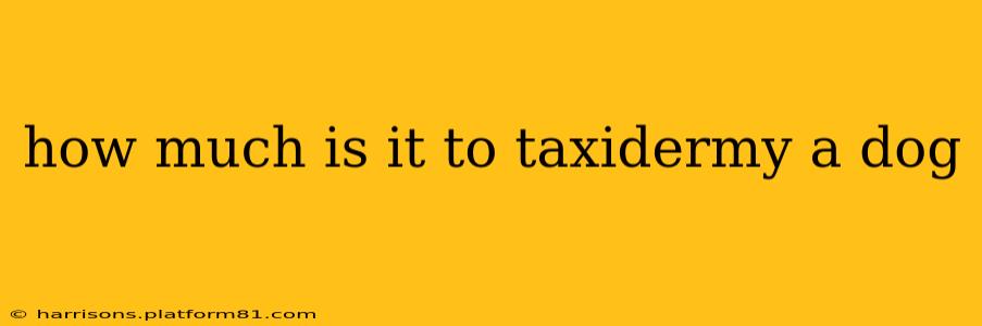 how much is it to taxidermy a dog