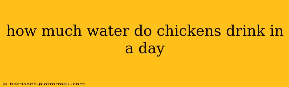 how much water do chickens drink in a day
