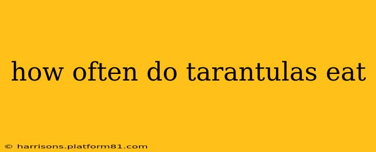 how often do tarantulas eat