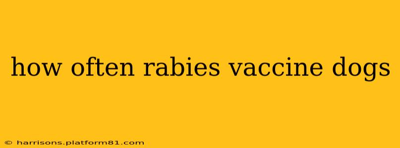 how often rabies vaccine dogs