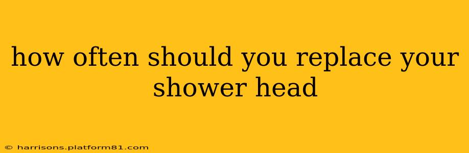 how often should you replace your shower head