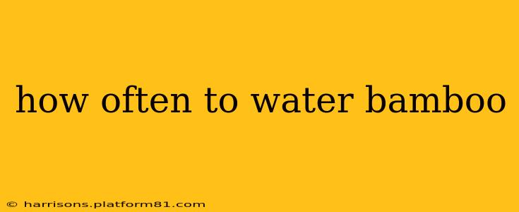 how often to water bamboo
