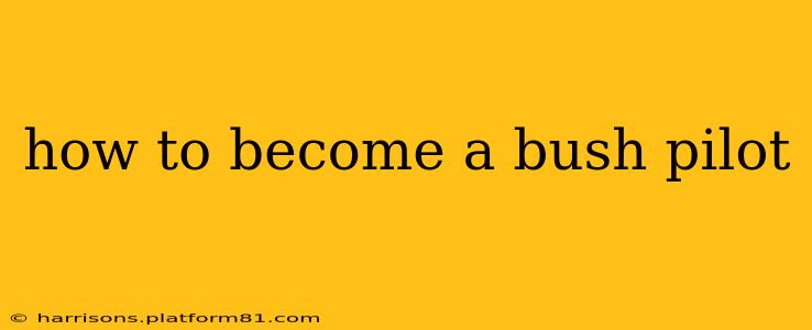 how to become a bush pilot