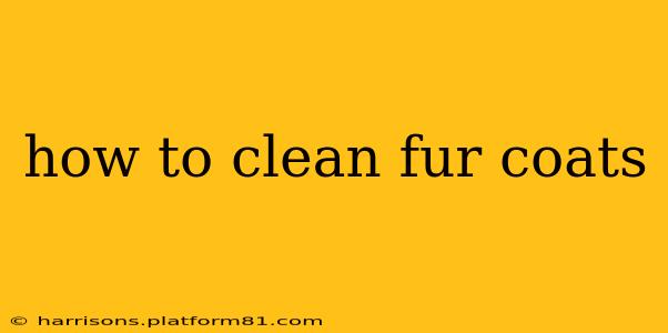 how to clean fur coats