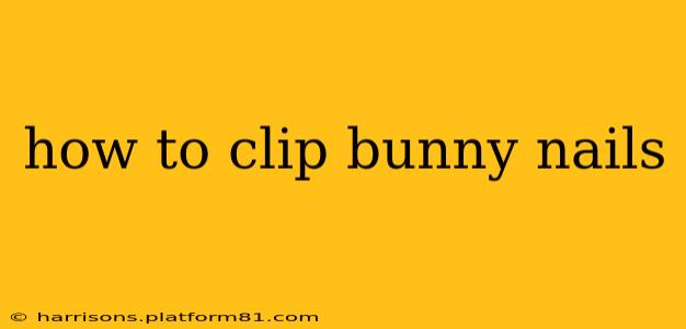 how to clip bunny nails