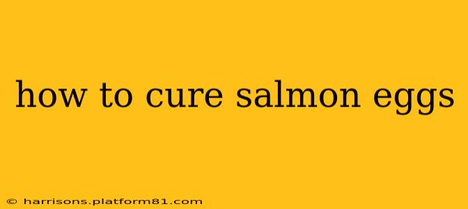 how to cure salmon eggs