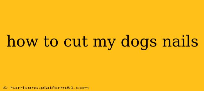 how to cut my dogs nails