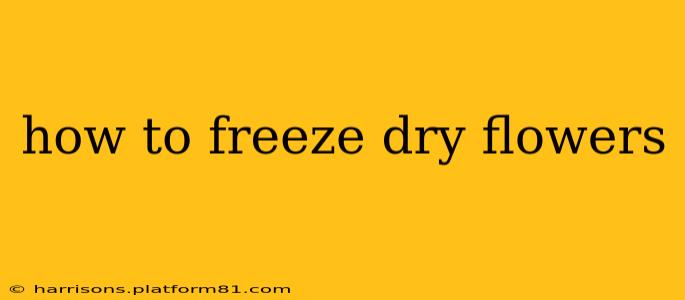 how to freeze dry flowers