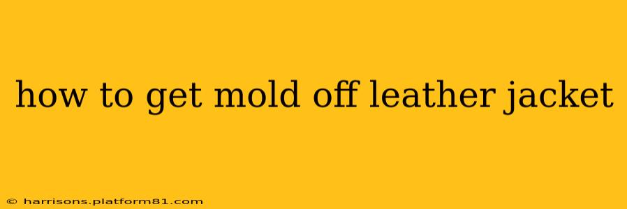 how to get mold off leather jacket