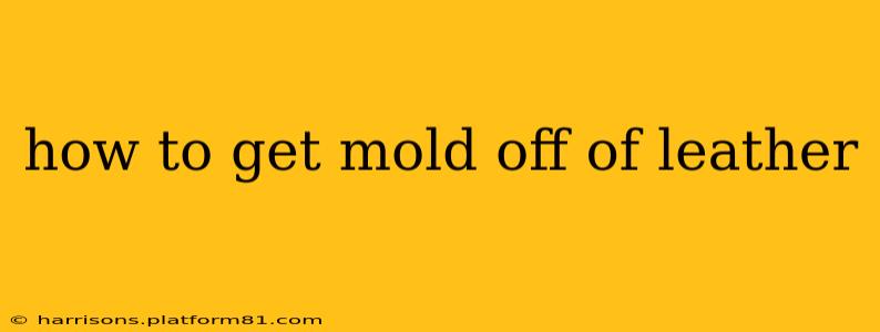 how to get mold off of leather