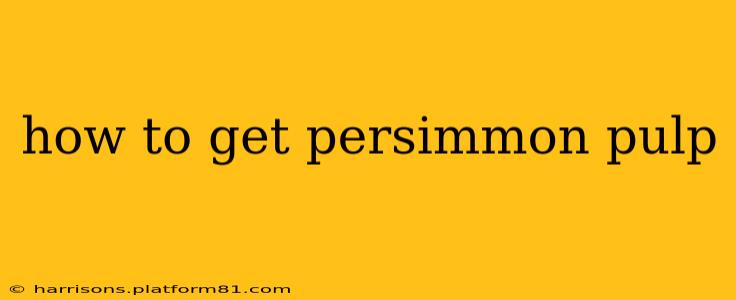 how to get persimmon pulp