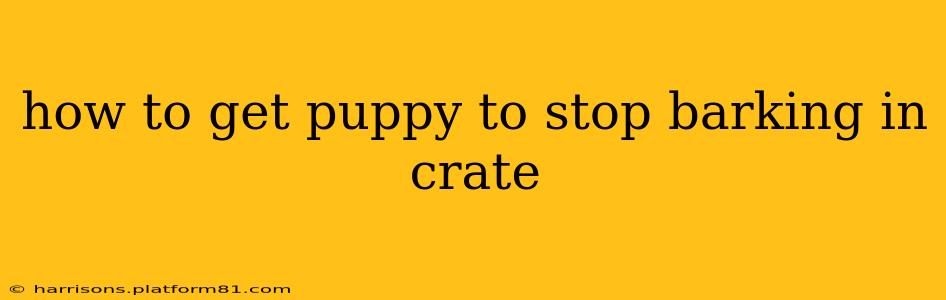 how to get puppy to stop barking in crate