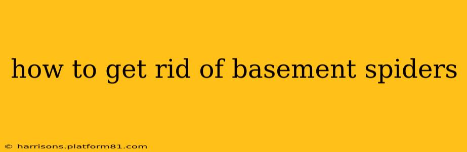 how to get rid of basement spiders