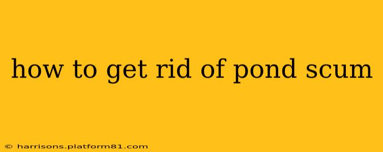 how to get rid of pond scum