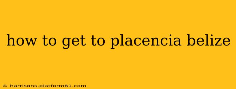 how to get to placencia belize