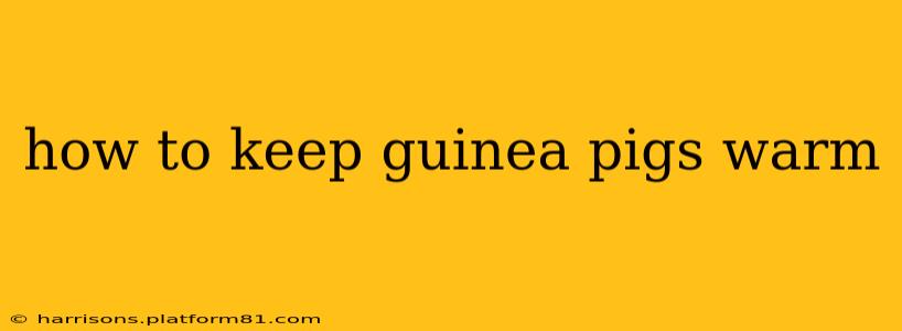 how to keep guinea pigs warm
