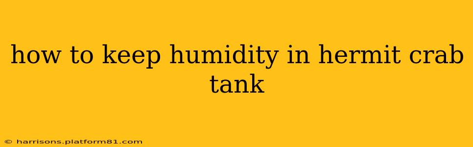 how to keep humidity in hermit crab tank