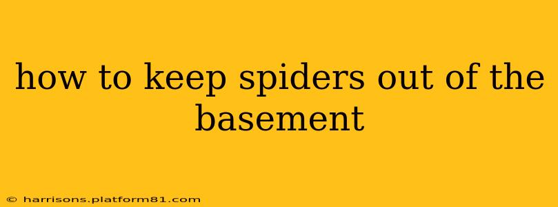 how to keep spiders out of the basement