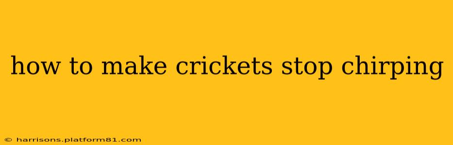 how to make crickets stop chirping