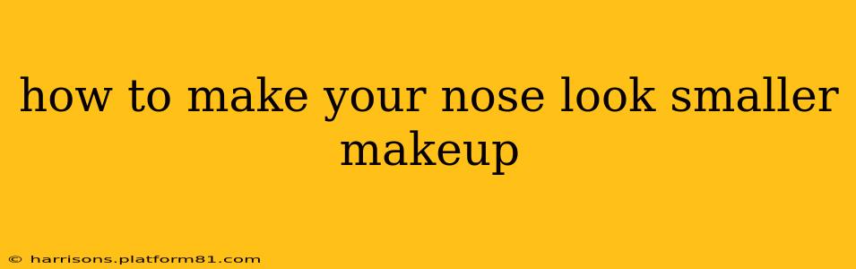 how to make your nose look smaller makeup