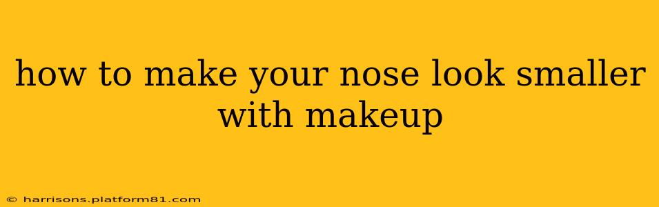 how to make your nose look smaller with makeup