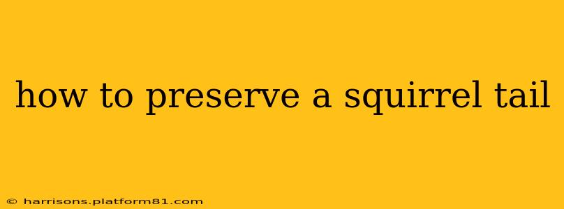 how to preserve a squirrel tail