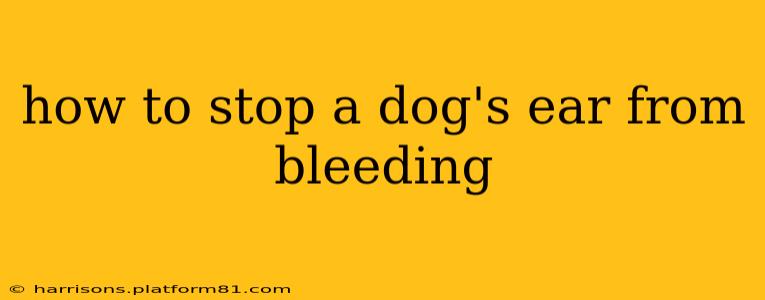 how to stop a dog's ear from bleeding