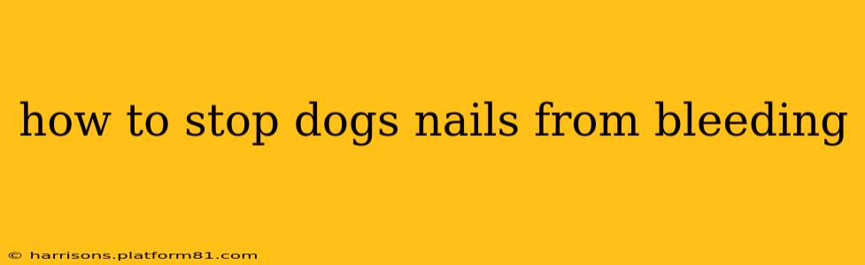how to stop dogs nails from bleeding