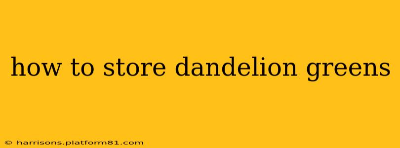 how to store dandelion greens