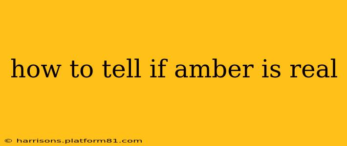 how to tell if amber is real