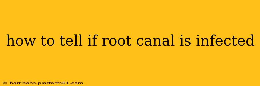 how to tell if root canal is infected