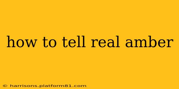 how to tell real amber