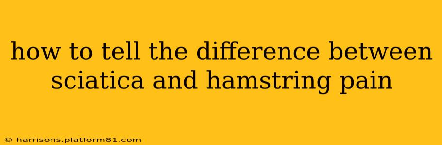 how to tell the difference between sciatica and hamstring pain