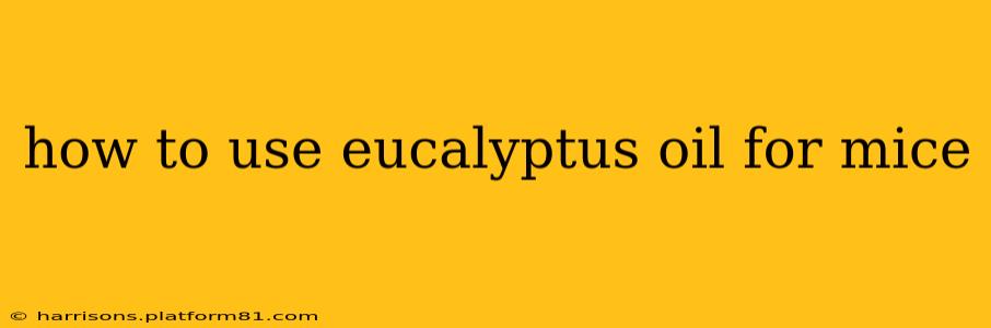 how to use eucalyptus oil for mice