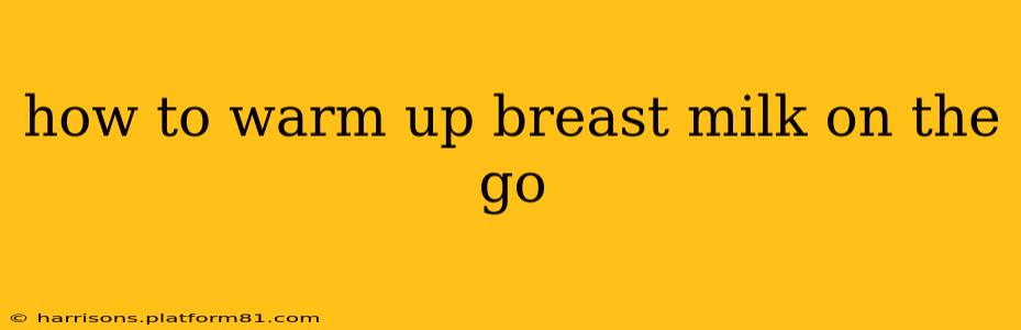 how to warm up breast milk on the go