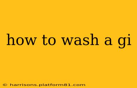 how to wash a gi