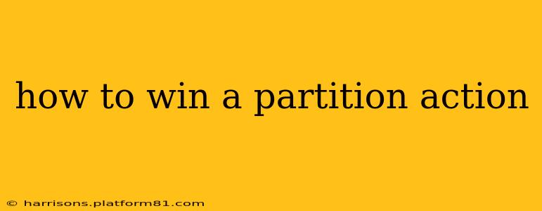 how to win a partition action