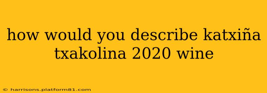 how would you describe katxiña txakolina 2020 wine