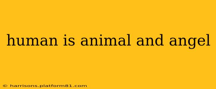 human is animal and angel